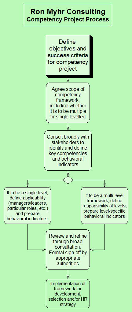 Competency project process